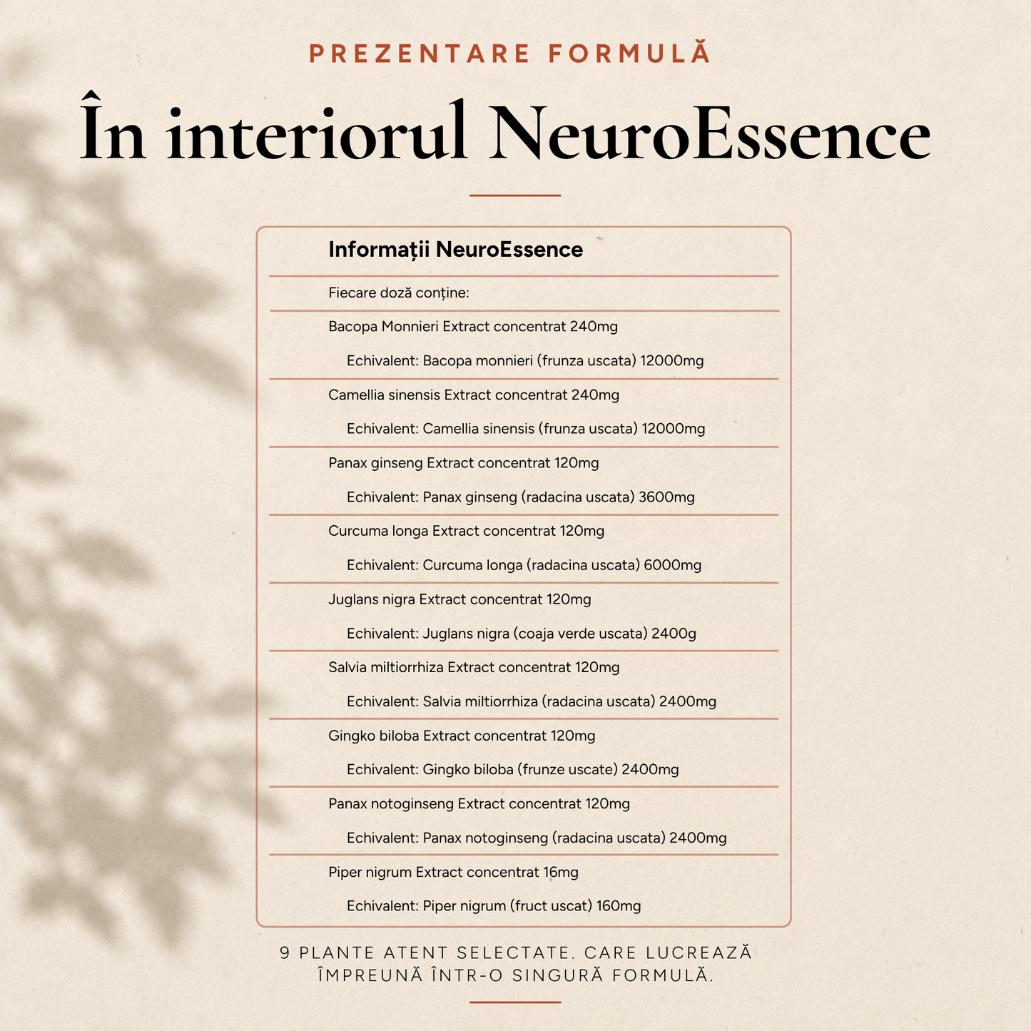NeuroEssence
