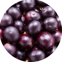 Steroli vegetali